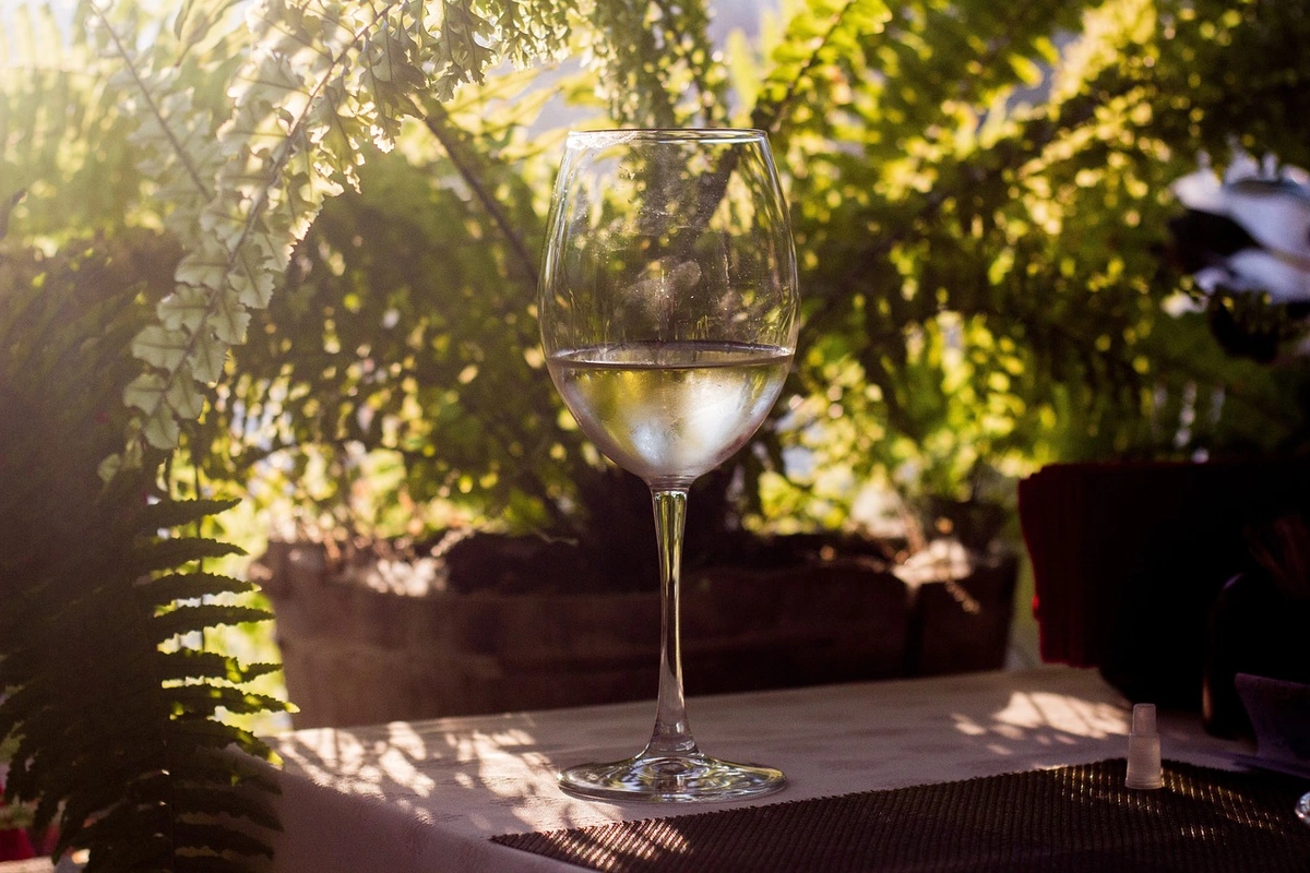 Taça preenchida de vinho branco em mesa ao ar livre entre vasos e folhagens