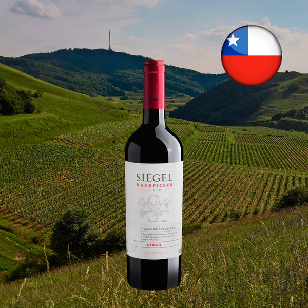 Siegel Reserva Handpicked Syrah 2022 - Oferta