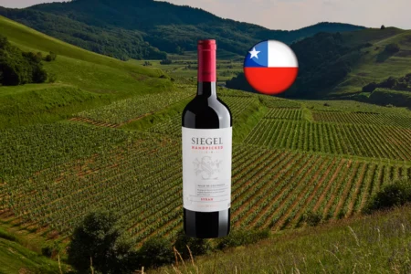 Siegel Reserva Handpicked Syrah 2022 - Thumbnail