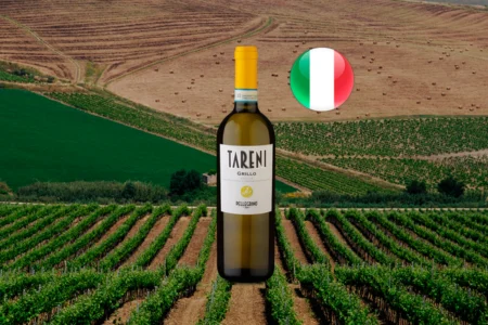 Tareni Grillo 2023 - Thumbnail