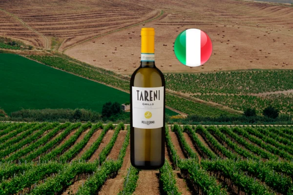 Tareni Grillo 2023 - Thumbnail