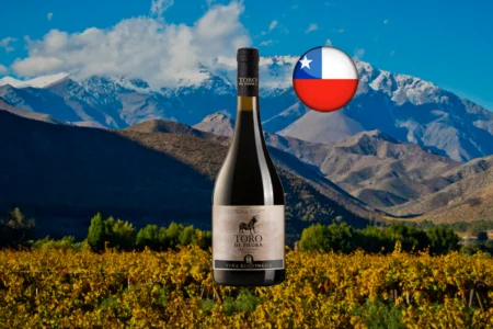 Toro de Piedra Gran Reserva Pinot Noir - Thumbnail