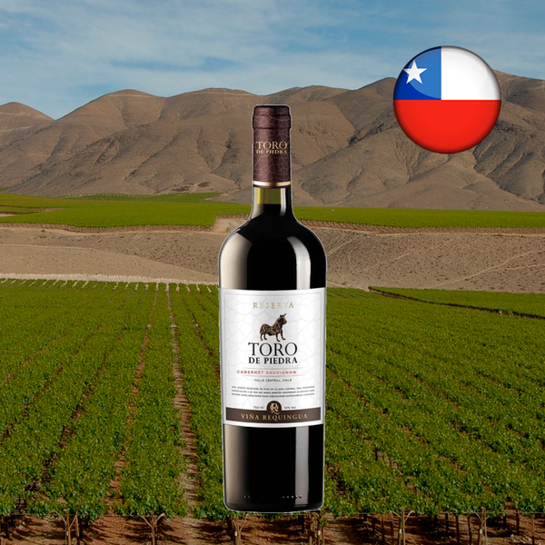 Toro de Piedra Reserva Cabernet Sauvignon: fruta e estrutura - Oferta