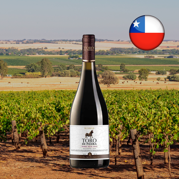 Toro de Piedra Reserva Pinot Noir - Oferta