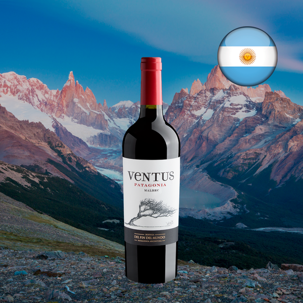 Ventus Patagonia Pinot Noir - Oferta