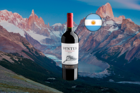 Ventus Patagonia Malbec 2024 - Thumbnail