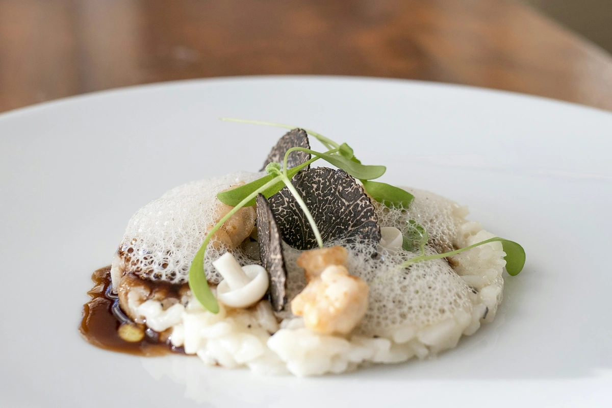 Risoto com cogumelos, trufa e miúdos em prato branco