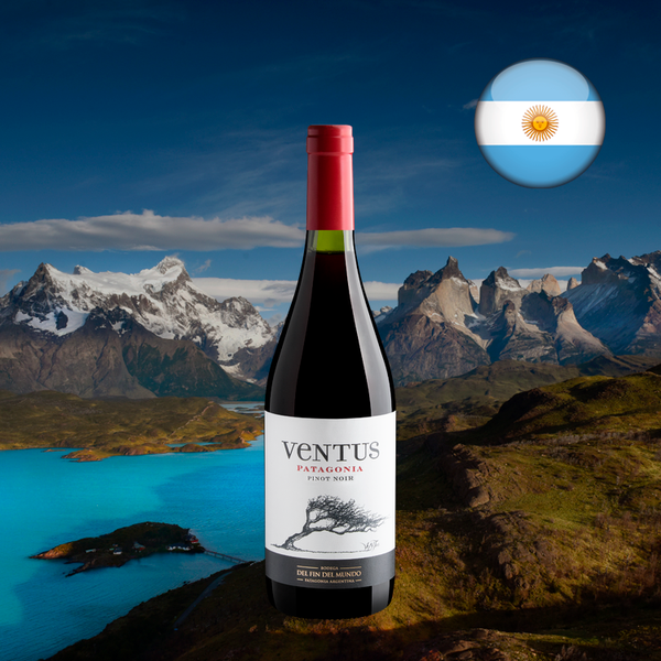 Ventus Patagonia Pinot Noir - Oferta