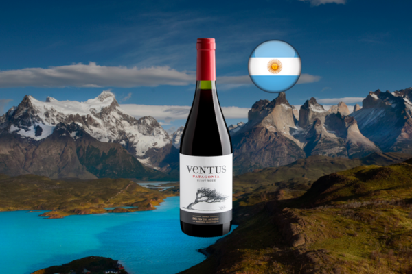 Ventus Patagonia Pinot Noir - Thumbnail