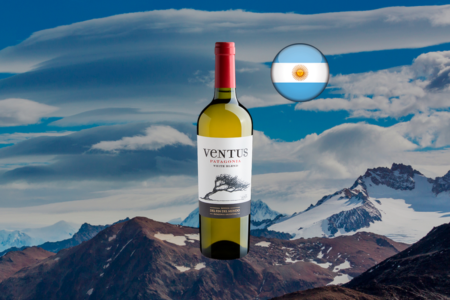 Ventus Patagonia White Blend 2024 - Thumbnail