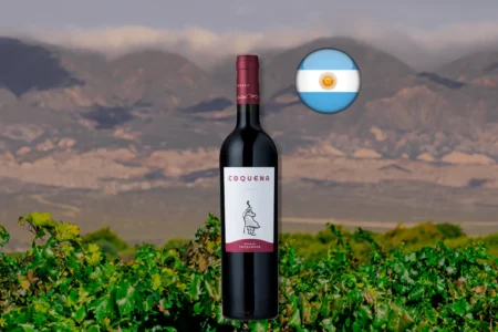 Bodega Yacochuya Malbec Coquena 2024 - Thumbnail