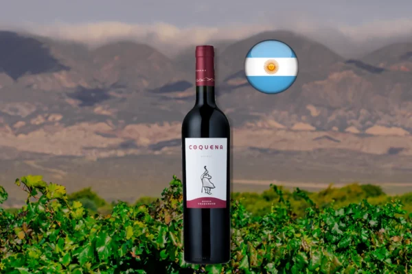 Bodega Yacochuya Malbec Coquena 2024 - Thumbnail