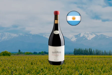 Zuccardi Finca Piedra Infinita Gravascal 2019 - Thumbnail