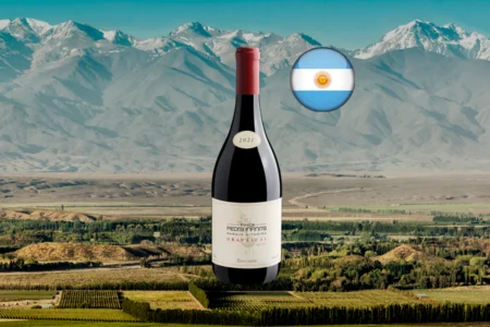 Zuccardi Finca Piedra Infinita Gravascal 2021 - Thumbnail