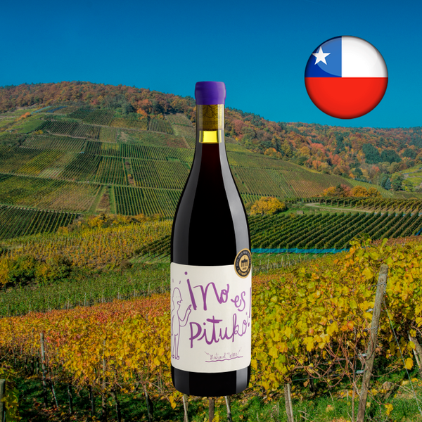 Garrafa de No es Pituko Carignan 2024 sobre paisagem regional do layout Center Gourmet.
