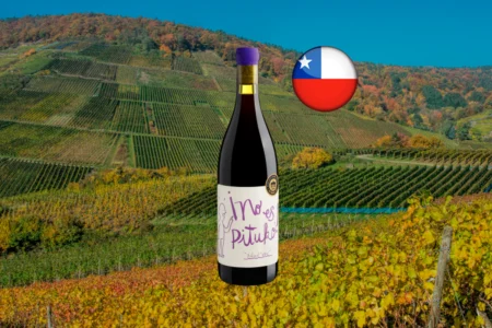 01 no es pituko carignan 2024 thumb 1200x800 1