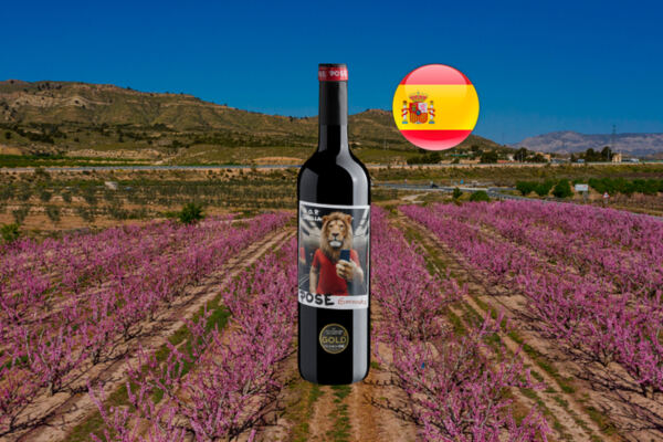 Pose Garnacha Jumilla em composição horizontal com campo de flores rosadas, colinas e bandeira da Espanha.