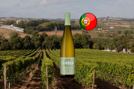 02-covela-alvarinho-1200x800