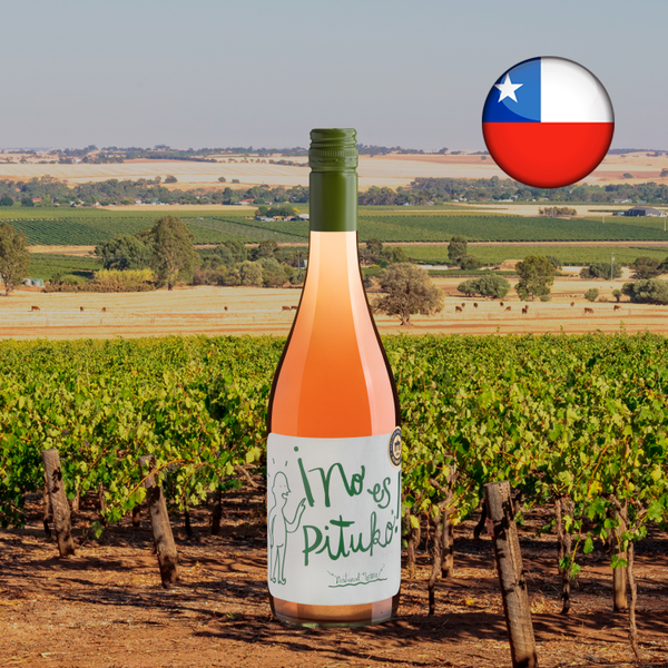 Garrafa de No es Pituko País Rosé 2024 sobre paisagem regional do layout Center Gourmet.