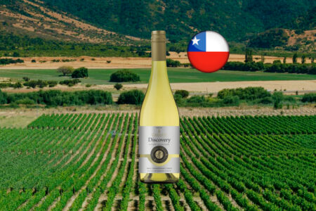 Imagem horizontal de Carmen Discovery Estate Selección Chardonnay, com rótulo prateado e amarelo, diante de fileiras de videiras, campos e colinas, com bandeira do Chile.