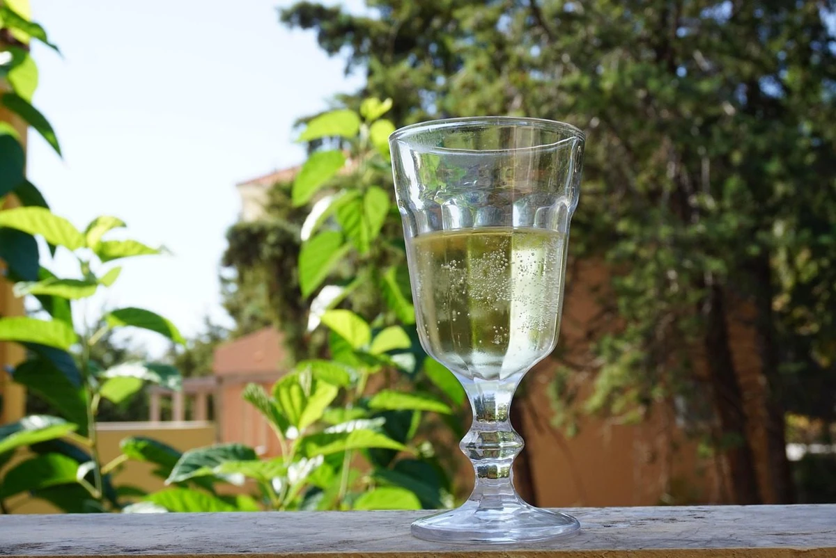Taça com bebida amarelo-palha e pequenas bolhas em mesa externa diante de plantas.