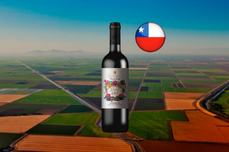 Carmen Frida Kahlo Carménère em garrafa inteira, com rótulo floral e a inscrição Reserva, sobre panorama horizontal de campos agrícolas e estradas retas, com bandeira chilena.