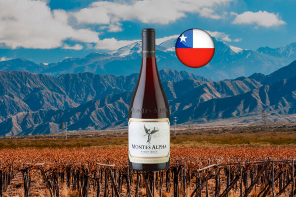 04-montes-alpha-pinot-noir-1200x800