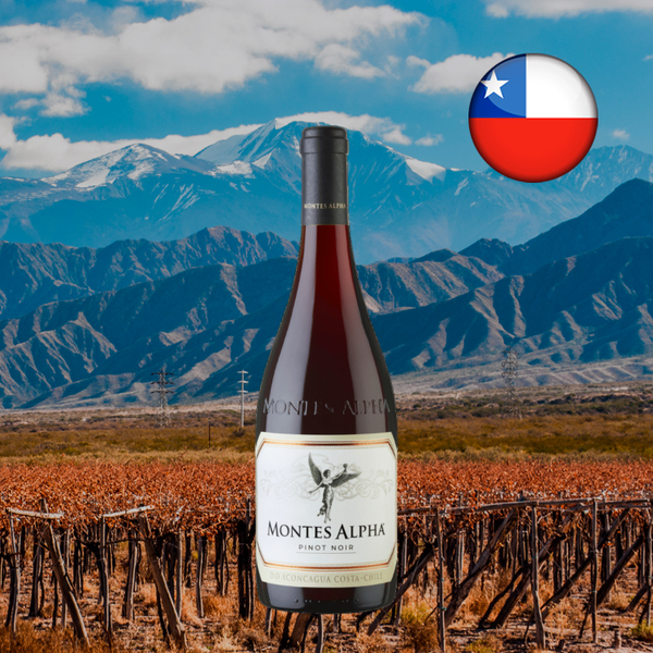 Garrafa de Montes Alpha Pinot Noir em paisagem oficial de Aconcagua