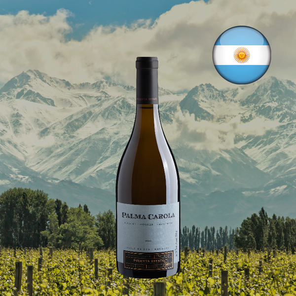 Garrafa de Palma Carola White Blend 2020, com rótulo azul acinzentado, diante de vinhedos e montanhas nevadas de Mendoza.