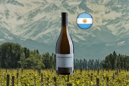 Palma Carola White Blend 2020 ao centro de composição horizontal com vinhedos, árvores e montanhas cobertas de neve ao fundo.