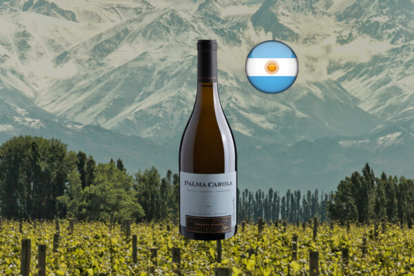 Palma Carola White Blend 2020 ao centro de composição horizontal com vinhedos, árvores e montanhas cobertas de neve ao fundo.