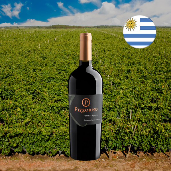 Pizzorno Tannat Reserva 2020 — garrafa na composição de oferta aprovada