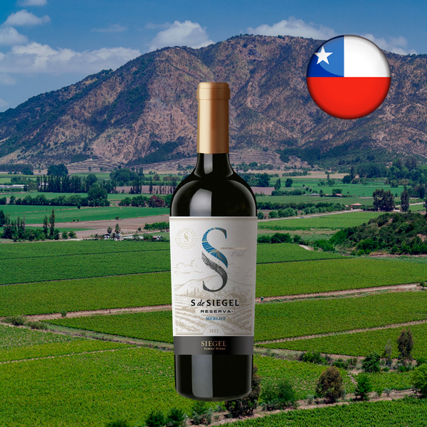 Garrafa de S de Siegel Reserva Merlot, com cápsula dourada e rótulo claro com um S azul e cinza, diante de vinhedos e montanhas, com bandeira chilena em composição quadrada.