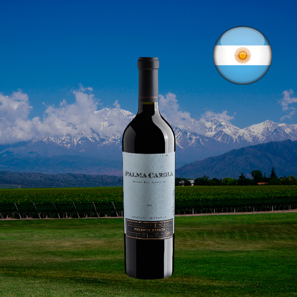 Garrafa escura de Palma Carola Red Blend 2018 diante de vinhedos verdes, montanhas nevadas e céu azul na paisagem de Mendoza.