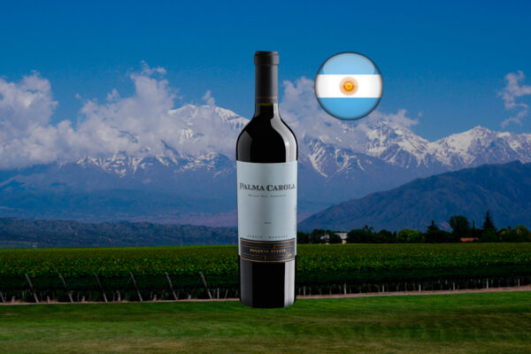Palma Carola Red Blend 2018 ao centro de panorama horizontal com vinhedos, gramado e cordilheira nevada, sob céu azul.