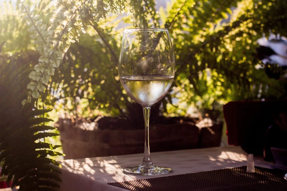 Taça com vinho branco sobre mesa próxima a samambaias, iluminada pela luz do sol.