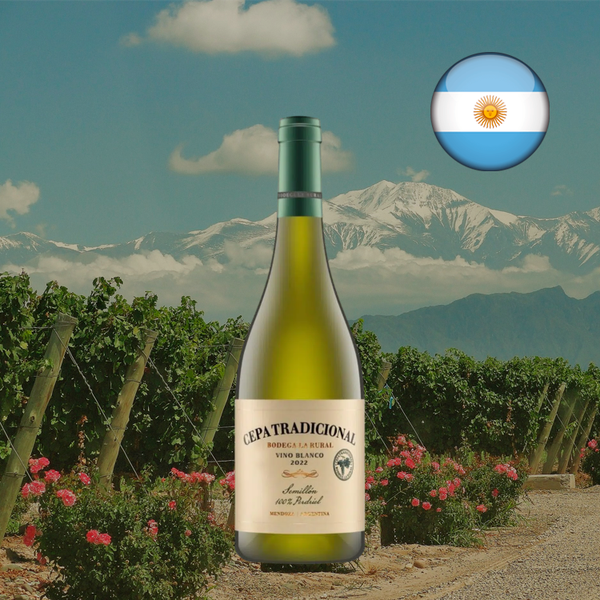 Cepa Tradicional Sémillon - Oferta