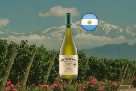 Cepa Tradicional Sémillon - Thumbnail