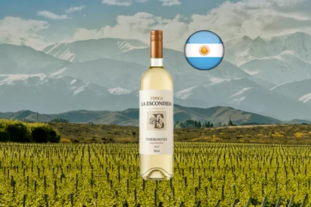 Finca La Escondida Torrontés - Thumbnail