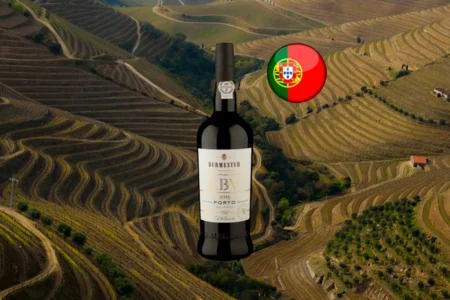 Burmester LBV Porto 2019 - Thumbnail