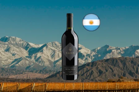 Cadus Single Vineyard Malbec Viña Vida 2021 - Thumbnail