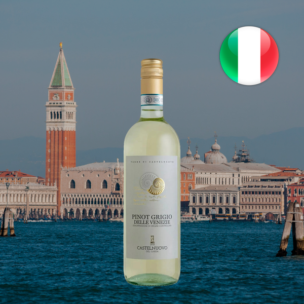 Castelnuovo Pinot Grigio delle Venezie DOC — composição com a fotografia real da garrafa.