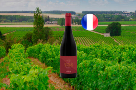 Chevalier des Arenes em composição horizontal sobre vinhedos e campos, com bandeira da França.