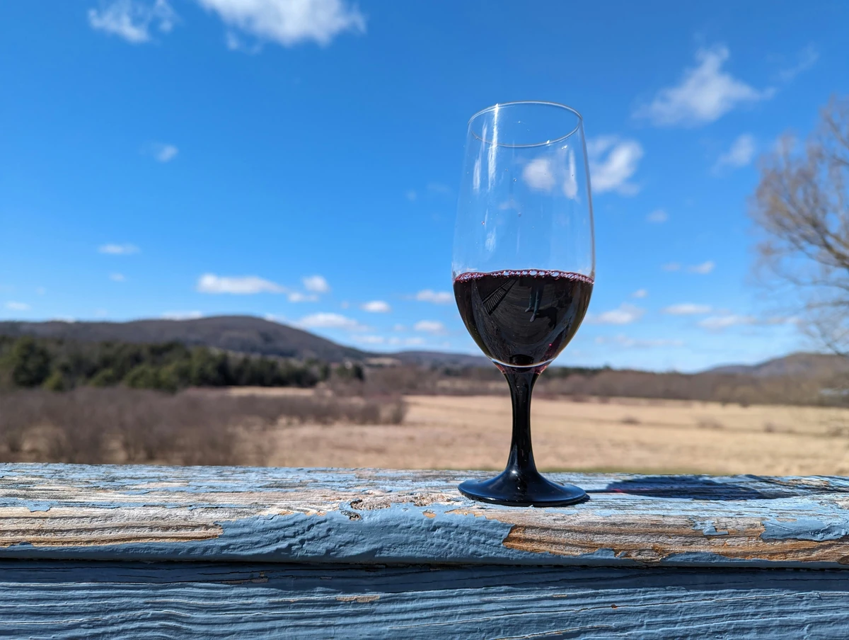 Finca Sophenia Altosur Malbec - Degustando