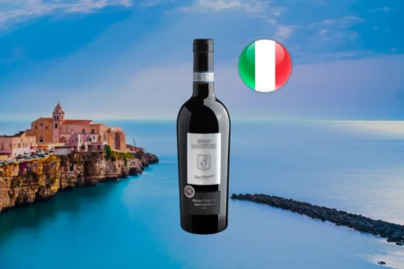 Gran Maestro Primitivo 2024 - Thumbnail