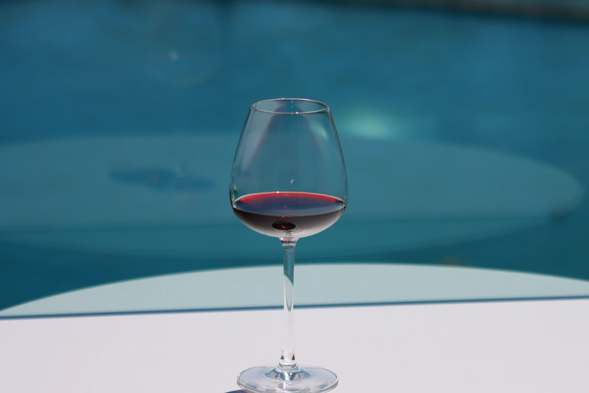 Luce Nera Primitivo 2025 - Degustando