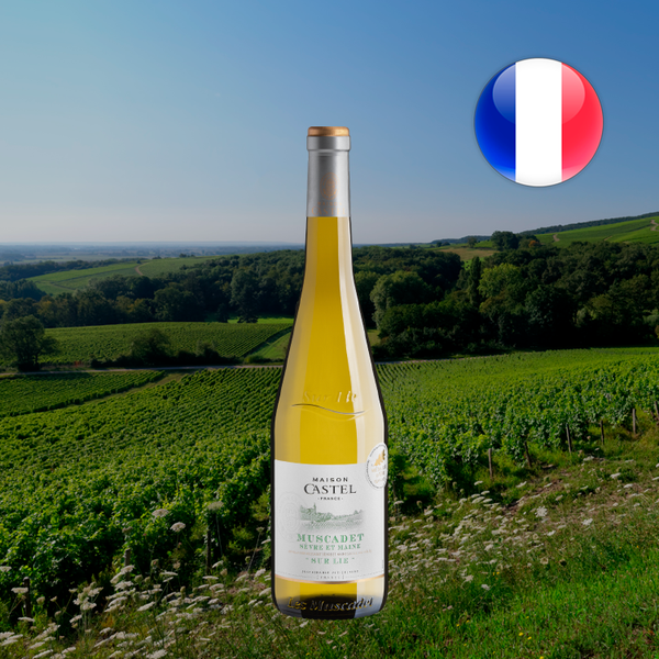 Maison Castel Muscadet Sur Lie - Oferta