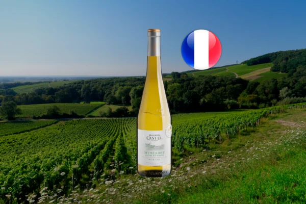 Maison Castel Muscadet Sur Lie - Thumbnail