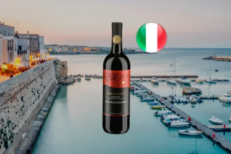 Sasso Al Vento Negroamaro 2025 - Thumbnail