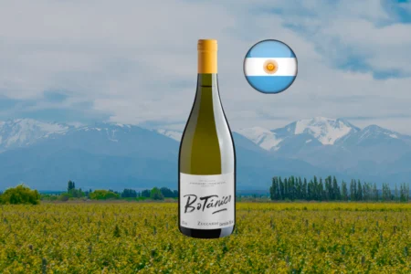 Zuccardi Botánico Chardonnay 2023 - Thumbnail